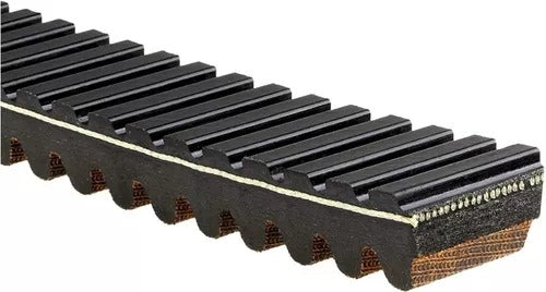 Banda Polaris Rzr y Ranger 570 Gates