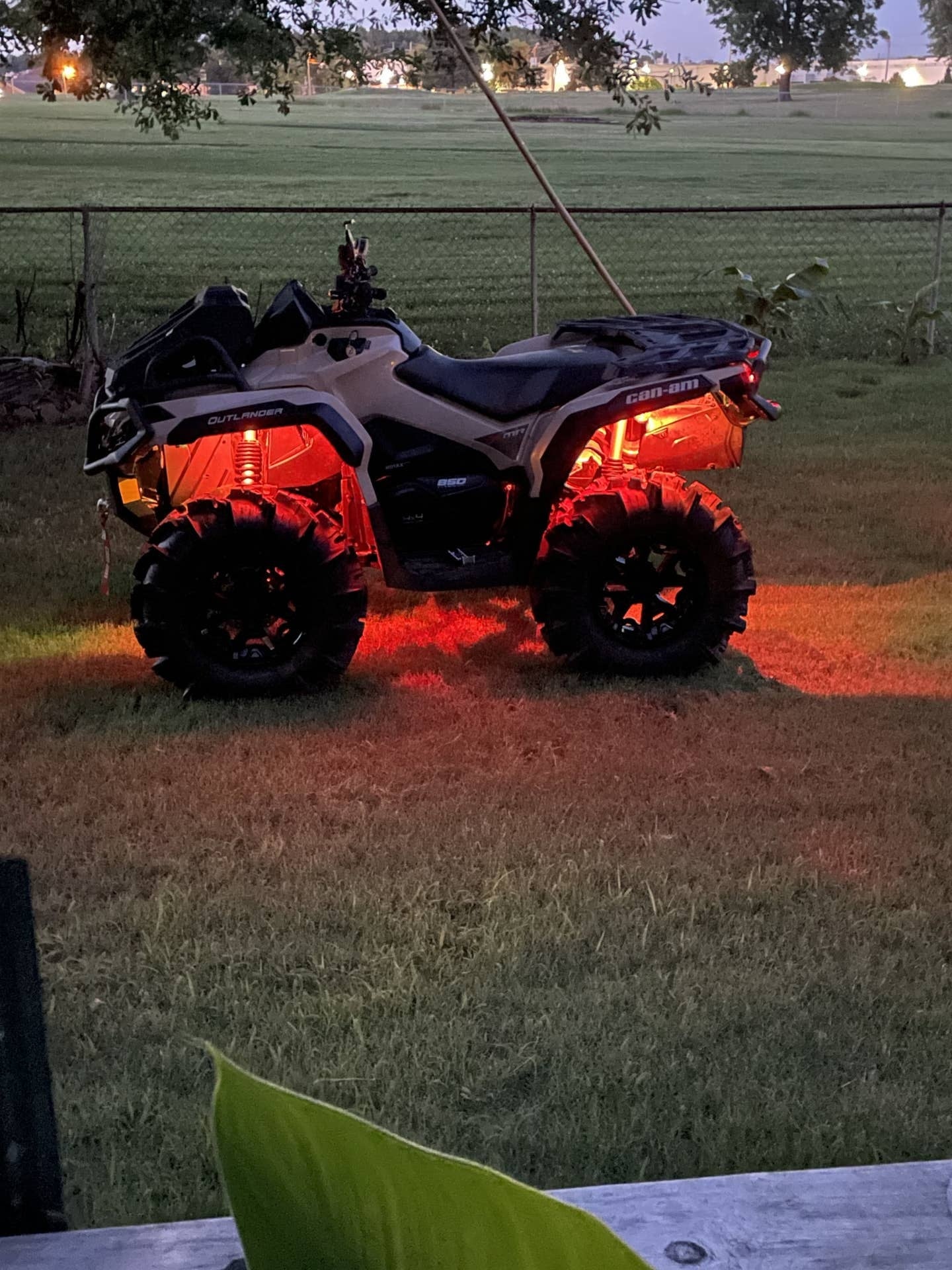Rocklights